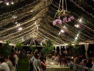 Utiliza carpas para fiestas al aire libre Vol. 2 - LaCelebracion.com